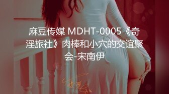 麻豆传媒 MDHT-0005《奇淫旅社》肉棒和小穴的交谊聚会-宋南伊