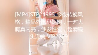 [MP4]STP24995 今夜转换风格，精品外围小姐姐，一对大胸真闪亮，沙发性爱，超清镜头完美 VIP2209