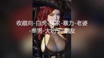 2000一小时，极品美乳模特，坚挺白嫩大白兔，黑丝美腿好诱惑 (3)