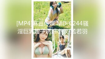 [MP4]麻豆传媒 MD-0244骚淫巨乳嫂子诱惑小叔-孟若羽