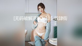 [无码破解]RBD-205 奴隷街 第三章