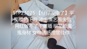 极品骚妻露脸口交