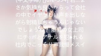 MIAA-104 最近できた彼女のギャル姉2人にこっそり密著ピストンで痴女られたボク AIKA 桐嶋りの