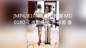 [MP4/ 512M] 新黑客破解家庭摄像头偷拍 年轻夫妻真会玩看着平板花里胡哨肛塞调情花样操逼