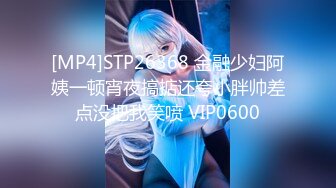 [MP4]STP26368 金融少妇阿姨一顿宵夜搞掂还夸小胖帅差点没把我笑喷 VIP0600