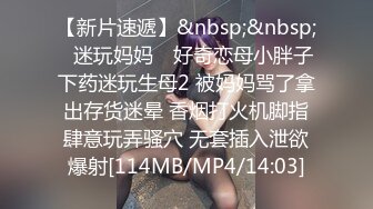 经典流出高级商场厕所TP高颜值美女嘘嘘系列