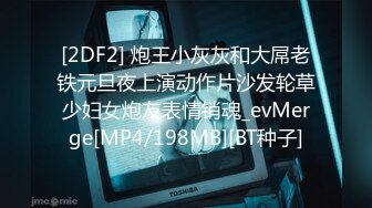 (18禁アニメ) 俺が姪（かのじょ）を○す理由（わけ） 一日目 彼が彼女を手に入れた日