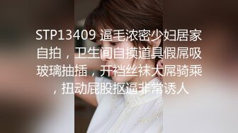 STP13409 逼毛浓密少妇居家自拍，卫生间自摸道具假屌吸玻璃抽插，开裆丝袜大屌骑乘，扭动屁股抠逼非常诱人