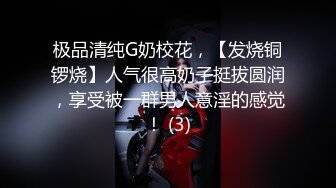 极品清纯G奶校花，【发烧铜锣烧】人气很高奶子挺拔圆润，享受被一群男人意淫的感觉！ (3)